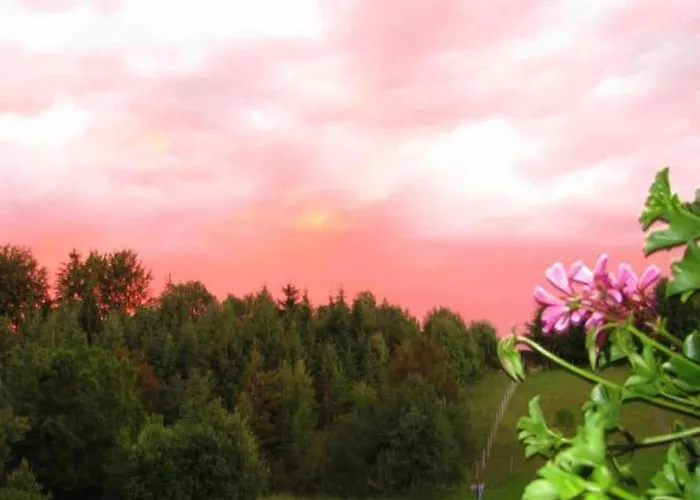 아파트 Haus Spannbauer